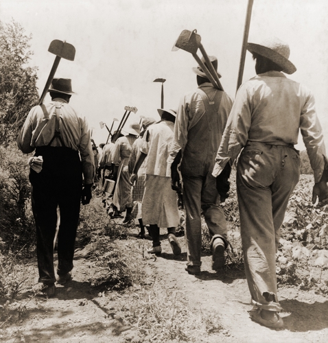 Farm workers